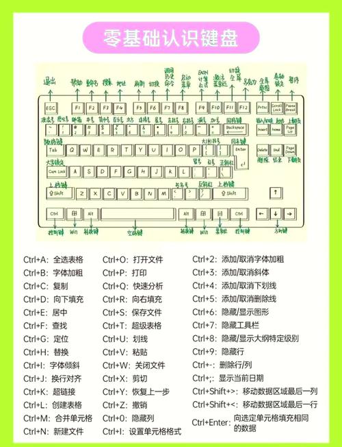 电脑快捷键入门指南,让你的键盘变高效!