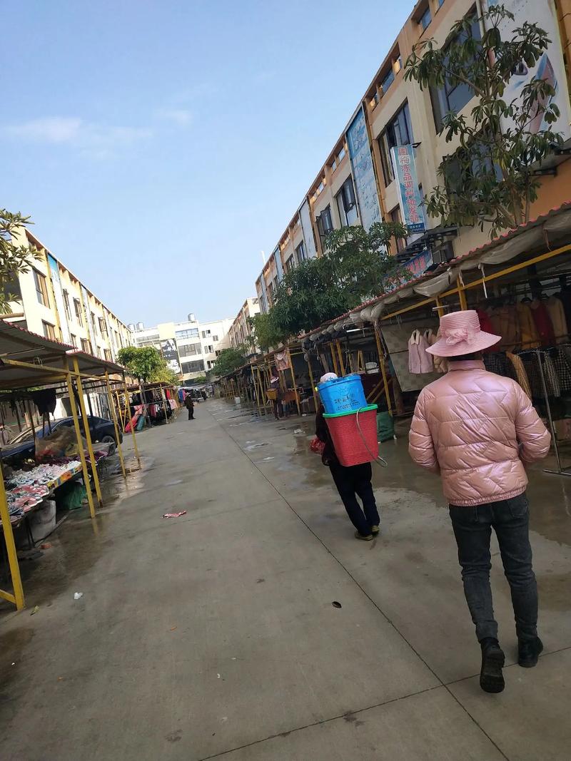 徐堡东街疫情最新动态，你必须知道