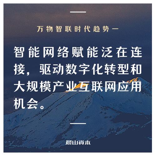 广西壮族自治区桂林市博越网络有限公司,网络时代的创新者