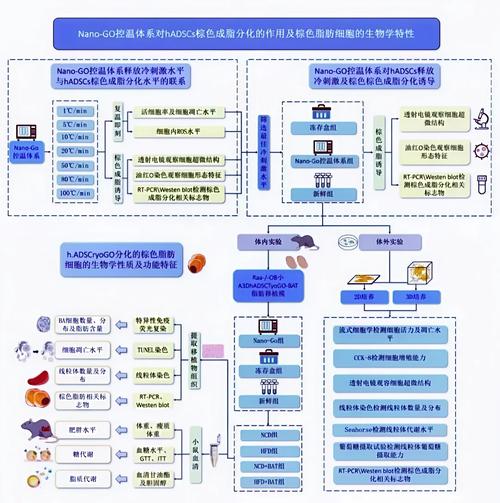 科技公司设计指南，从基础到突破