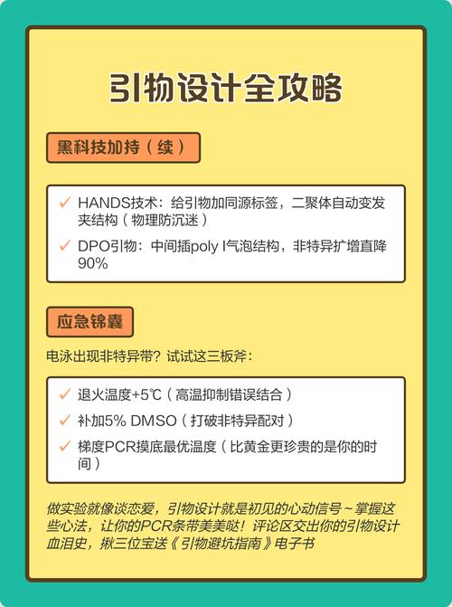 科技公司设计指南,从基础到突破