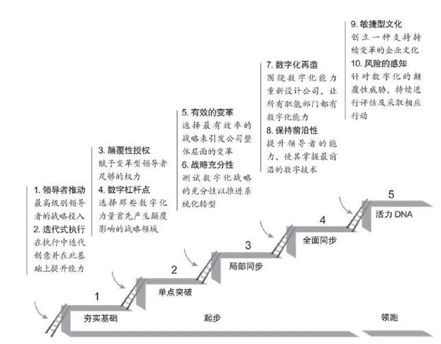 方维乐园,数字化转型的创新者
