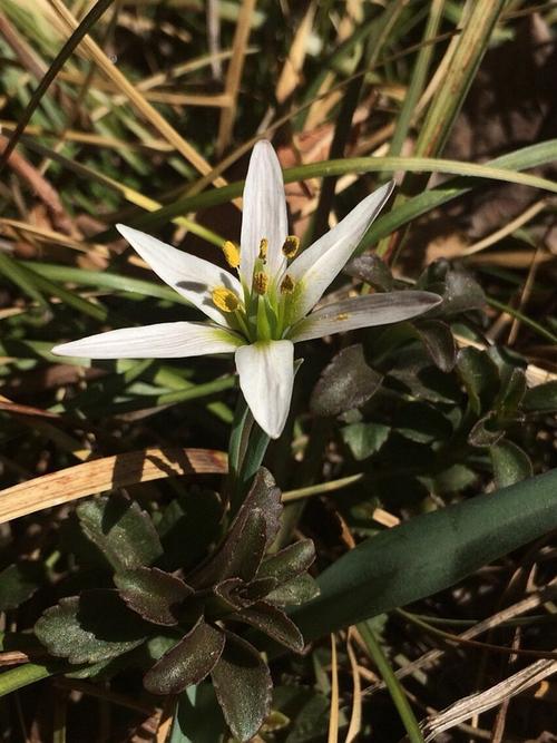 什么是南荷代刷？