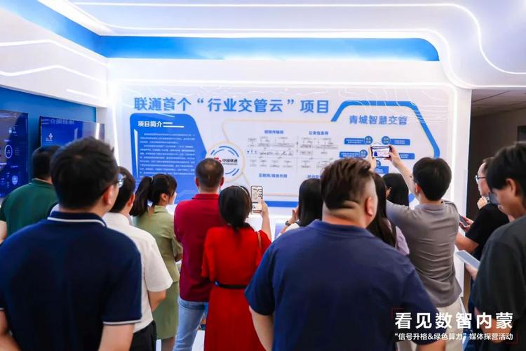 内蒙古网络集团公司,数据驱动的未来