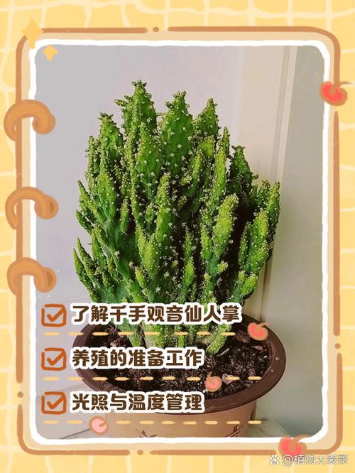 仙人掌的防辐射，从植物到制作