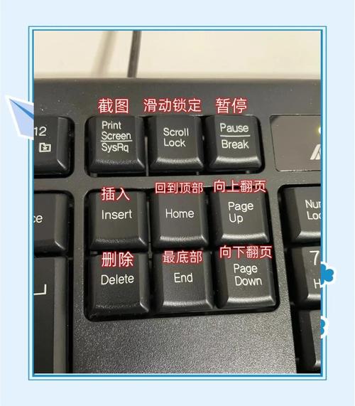 电脑上的快捷键是Ctrl加什么？