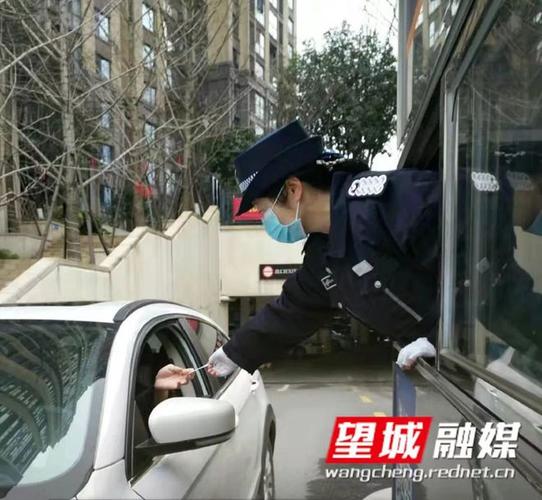 月亮岛抗疫情最新消息