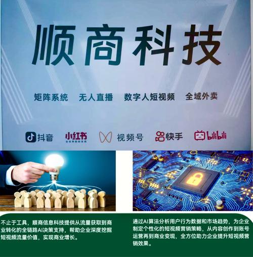 洛阳企业网络营销软件，助力企业崛起