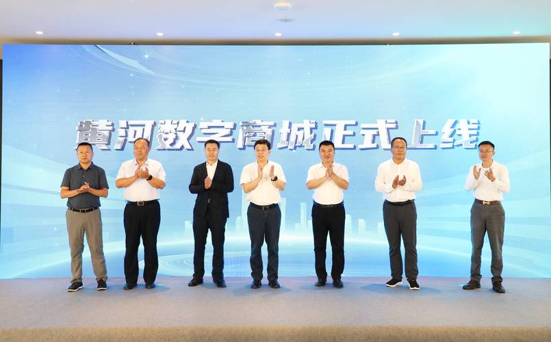 济南网络平台，数字时代下的新机遇