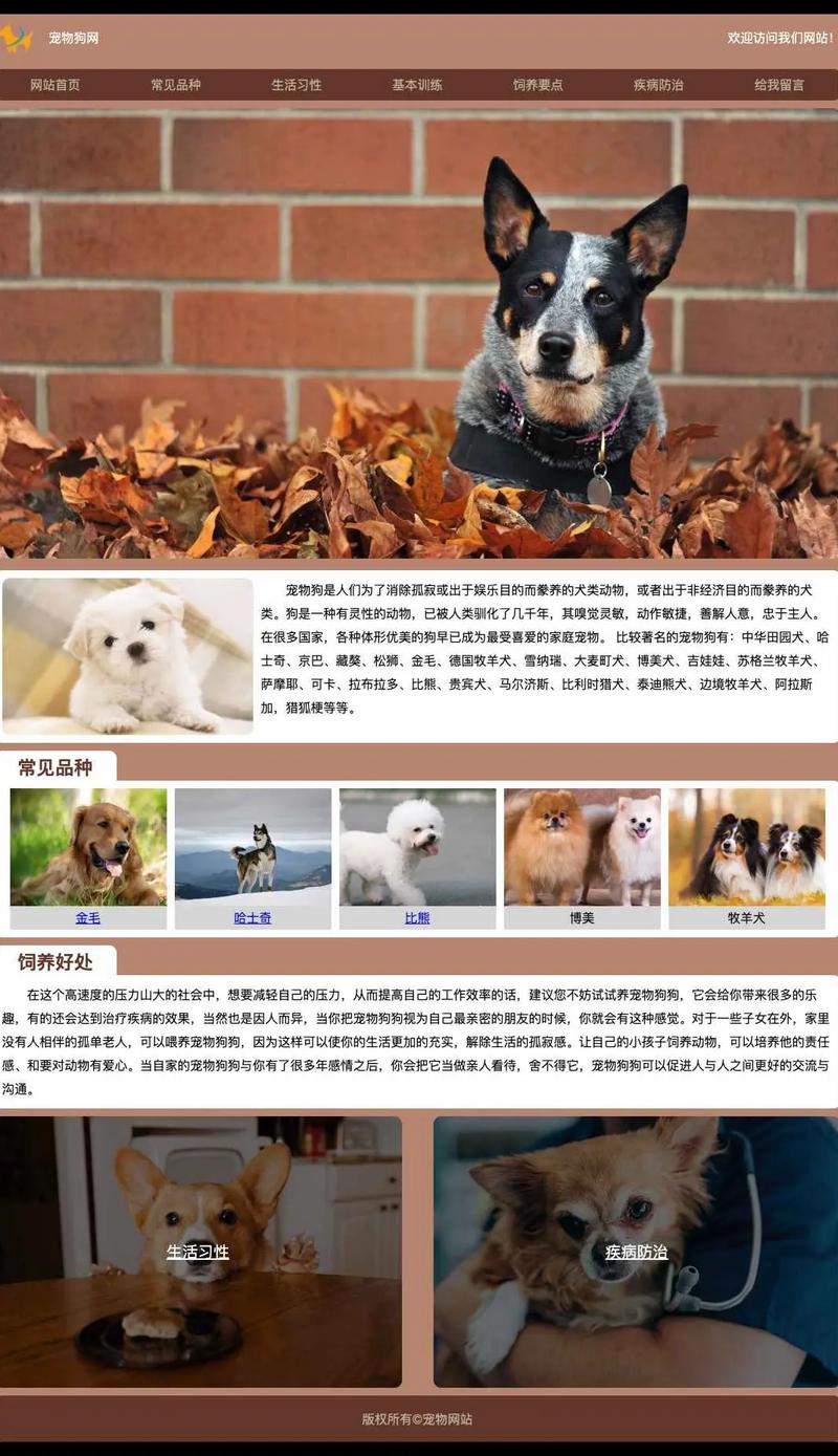 宠物网站，吸引宠物狗的终极指南