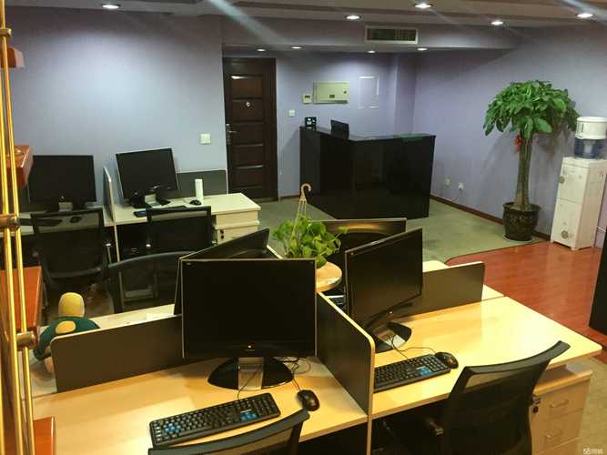 什么是网络和开发有限公司？