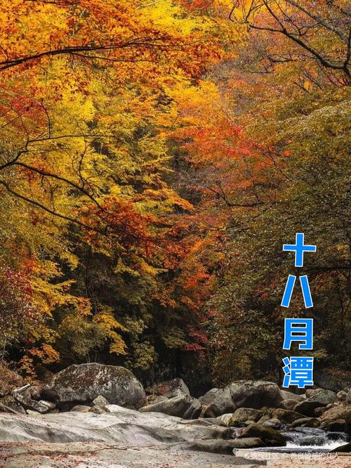 南江黑潭疫情最新消息，疫情防控再也不能等！