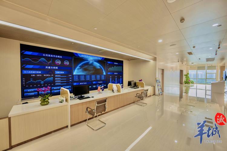 广州政府网络公司，助力城市数字化转型的创新力量