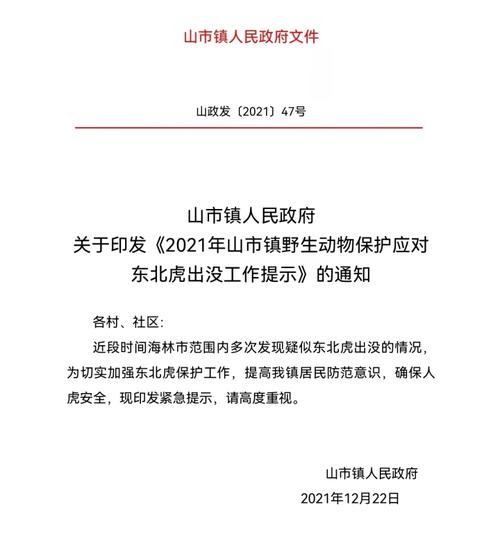 海林山市镇疫情最新动态,防控知识与应对策略指南