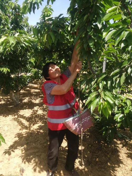 新郑古城村疫情最新消息,指南与预防