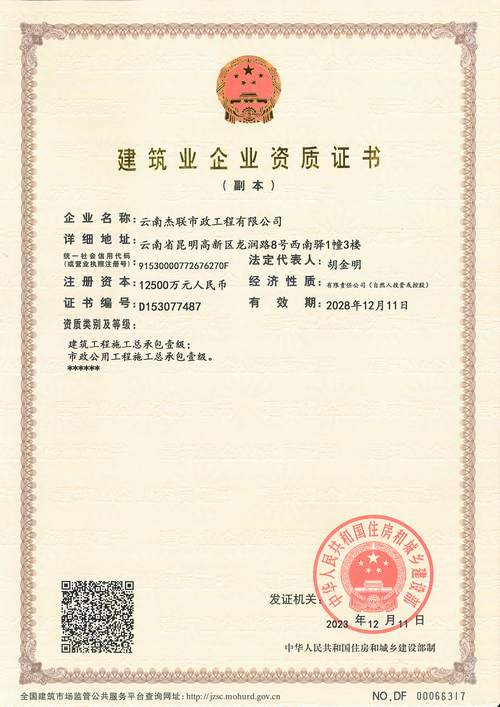 1.公司背景和资质