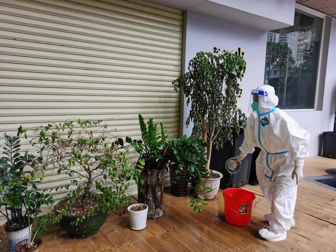 广州疫情最新消息,护林路守护生命