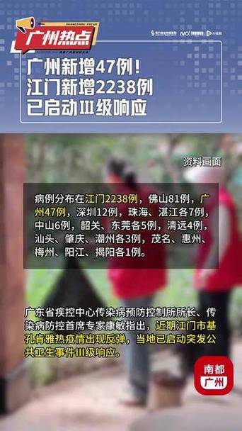 223广州双十一疫情最新消息，全面分析及应对建议