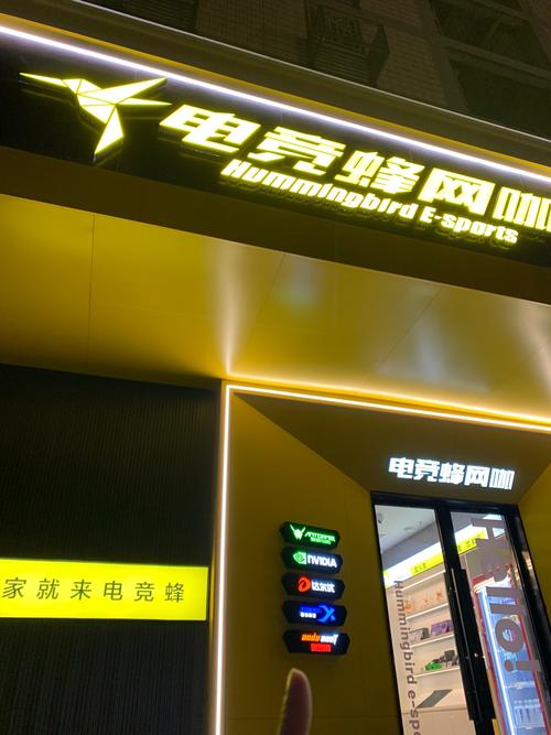 聊城网络公司推荐，性价比最高的选择