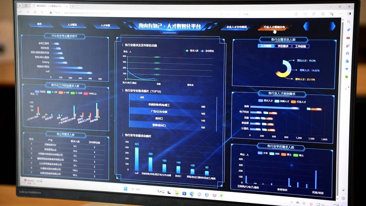 聊城网,聊城市网络平台的崛起与未来