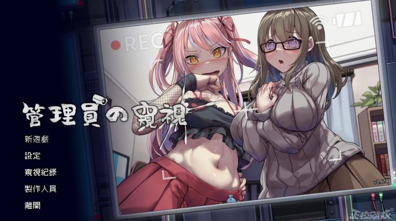 成人游戏，电脑版的深度探索