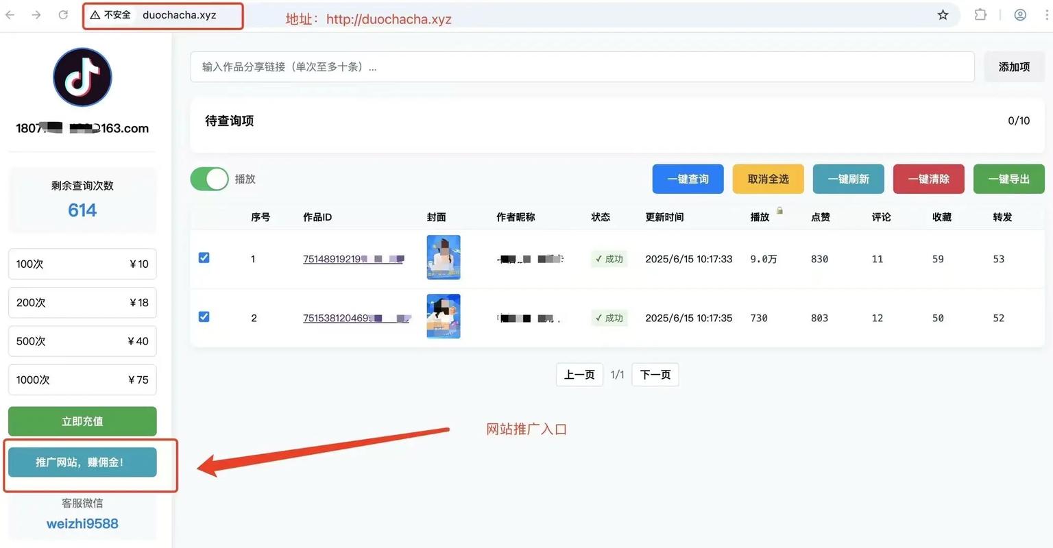 如何使用分站平台获取抖音播放量数据