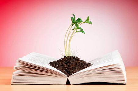 郑州绿叶电脑学校,为您开启智慧学习新篇章