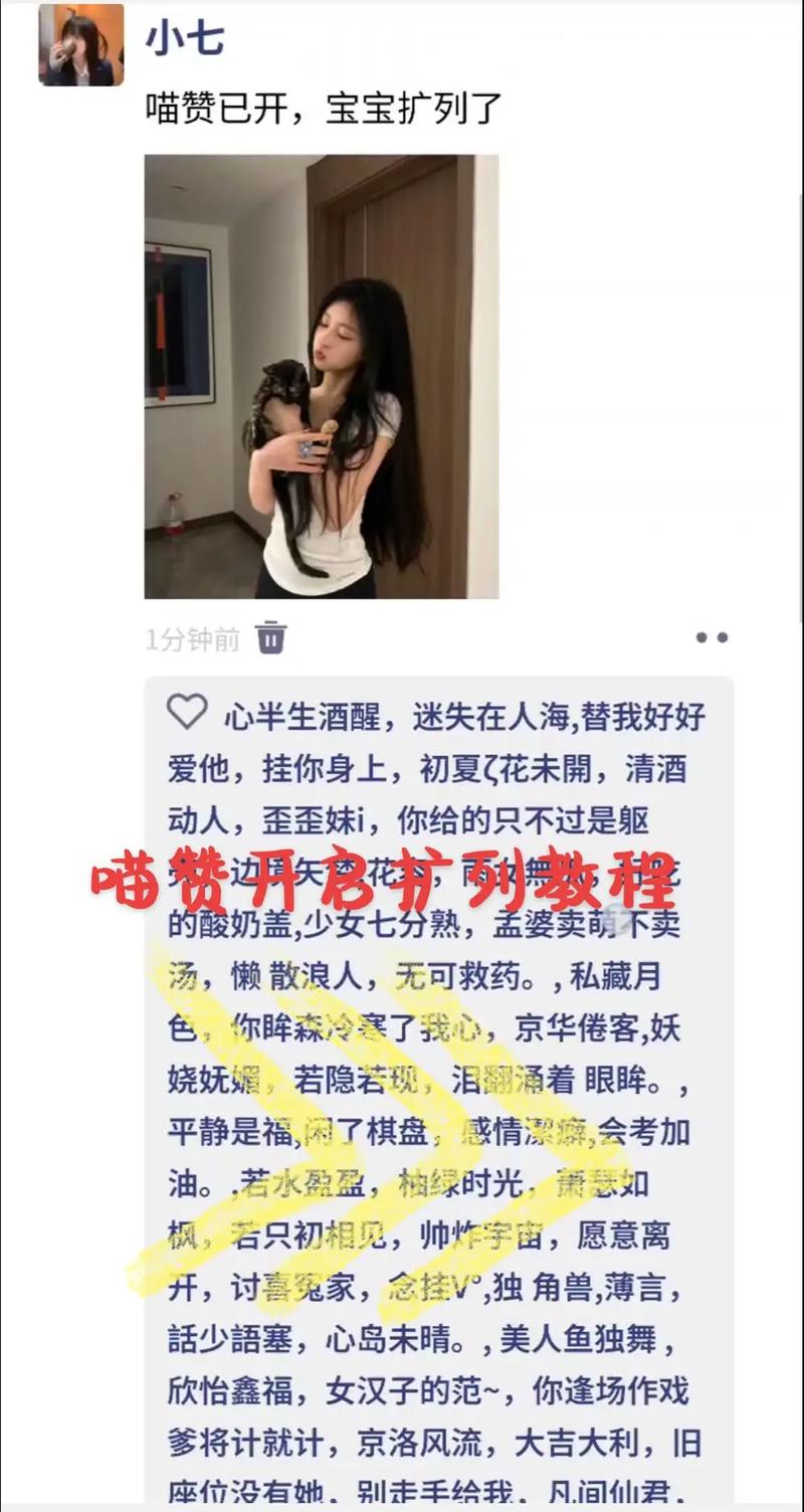 抖音赞网站与秒赞活动，如何让抖音成为你的播放量王