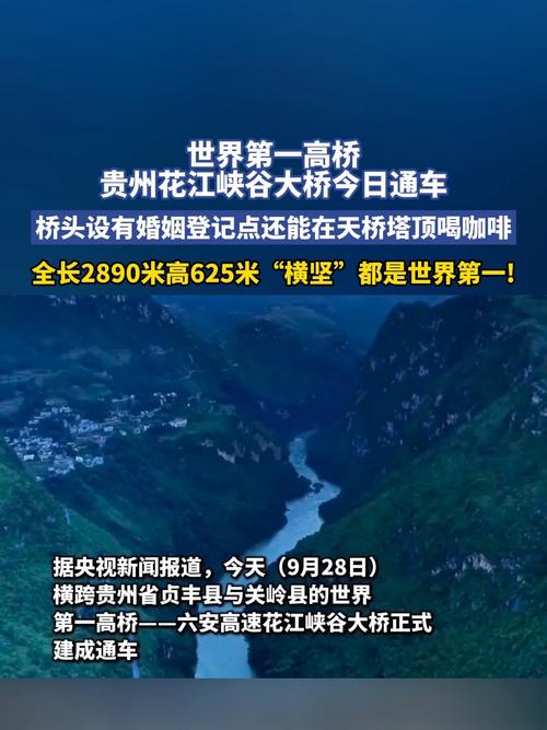 每一场直播都是通往世界的桥梁！