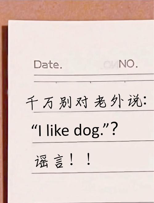 sing是什么意思网络语言