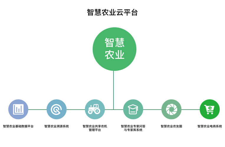 如何构建高效、精准的农业技术网站？