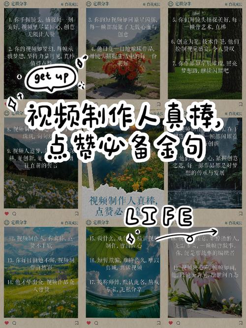 每日热门视频的点赞获取技巧