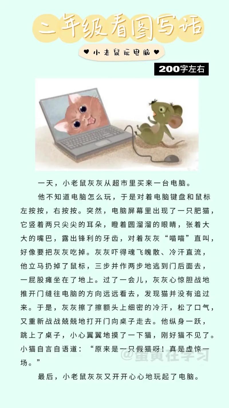 观察与思考，小老鼠的视角