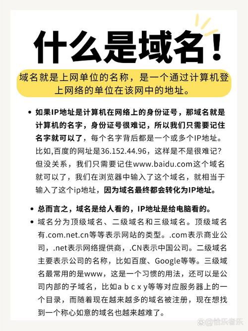 查一个网络的域名