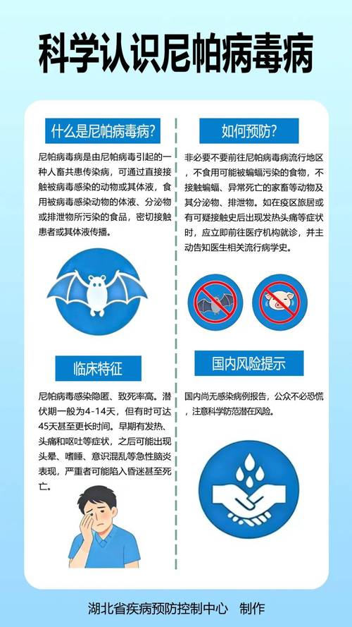 襄阳市疫情最新消息，防控指南来了，你了解吗？