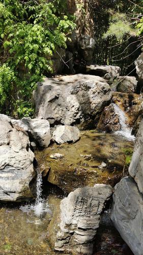 林州白家庄疫情最新消息，你已知的疫情数据，还有这些信息隐藏的秘密