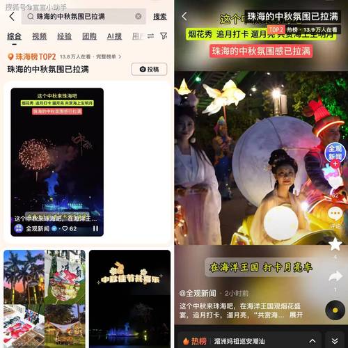 抖音刷赞平台解析，代刷抖音广告词的最佳指南