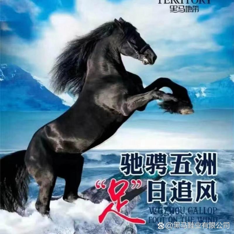 桂平浔州，网络时代的创新黑马