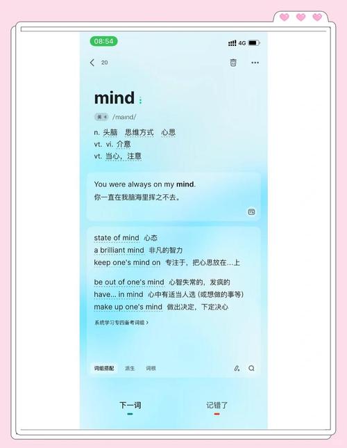 网络用语 mind 的含义与应用