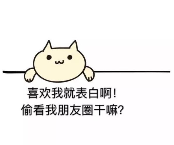 微信的朋友圈中的fell,一个有趣且实用的网络用语