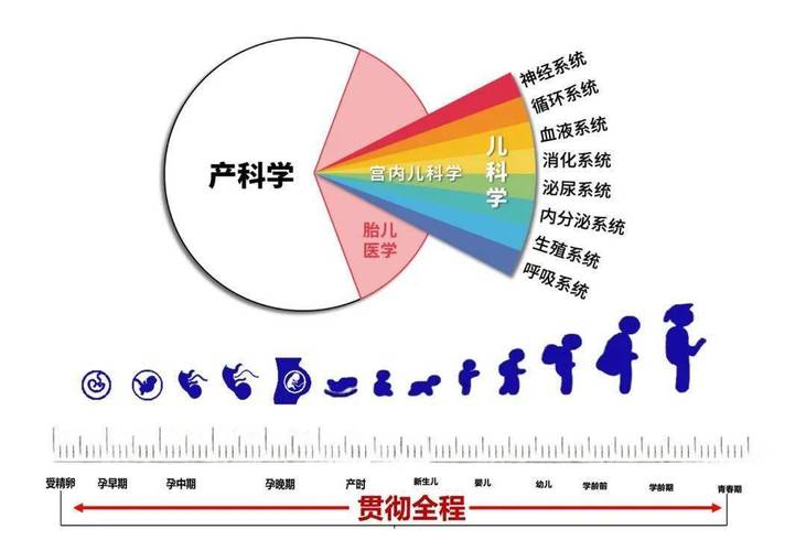 从起源到现代,动漫电脑的全生命周期指南