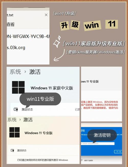 电脑管家 win1 专版，系统优化与实用指南