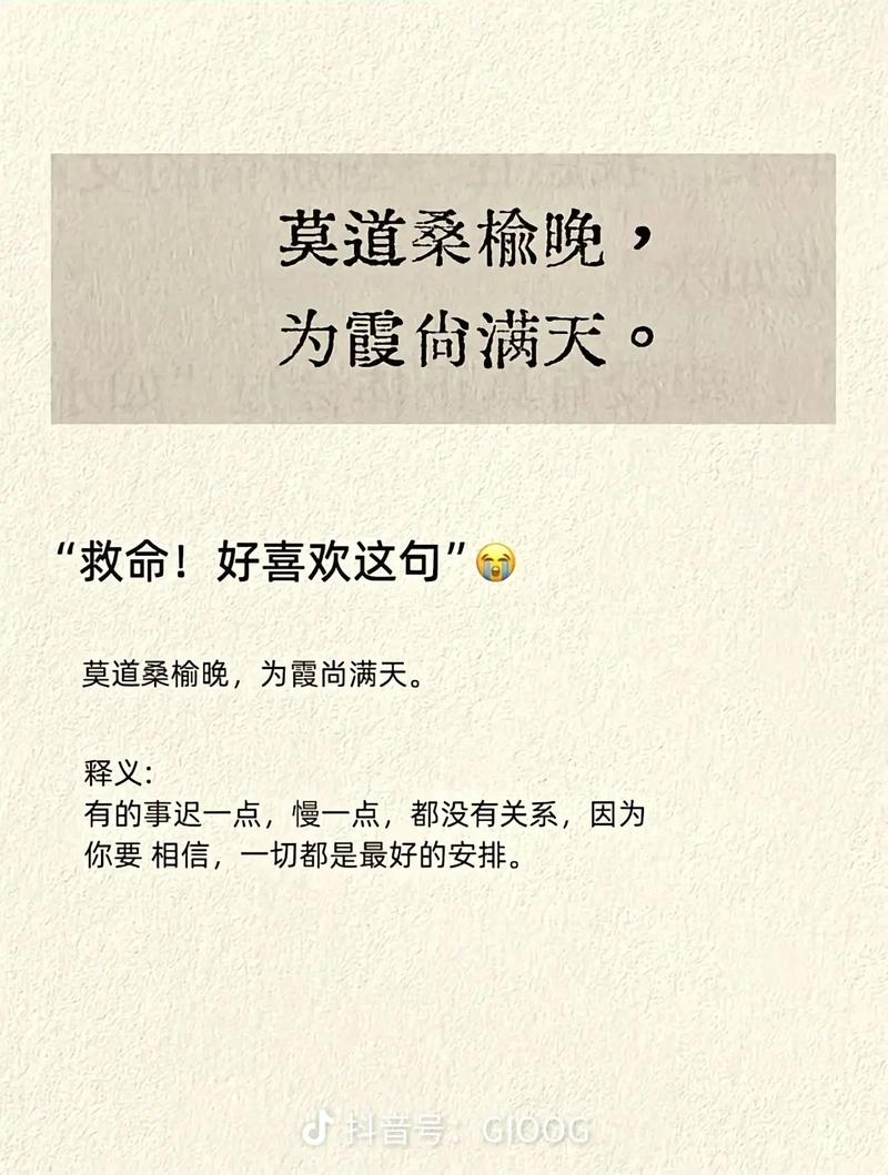 网络用语中的 forgotten 真是让人犯难,你知道哪些语句是正确的吗?