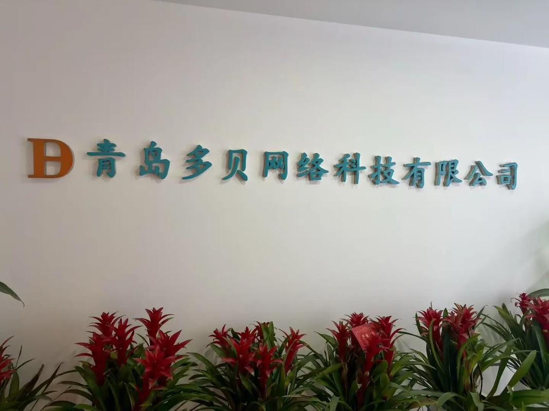 青岛网络公司实力全解析