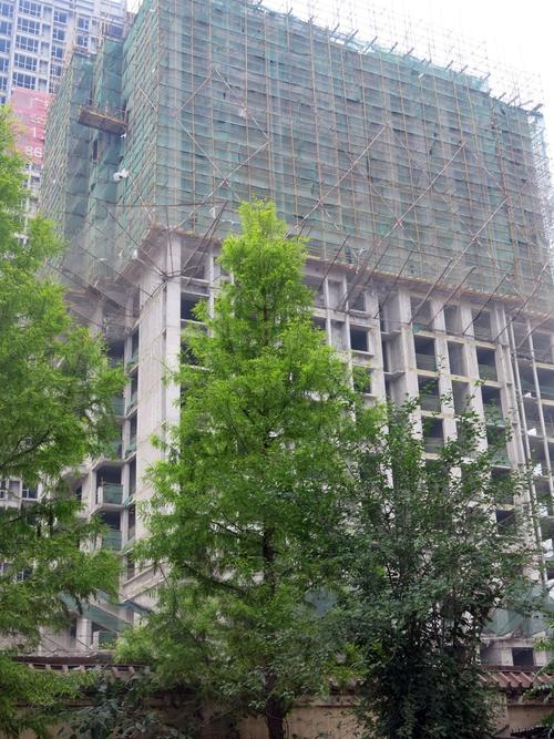 疫情全面爆发！云棠家园最新消息来了！