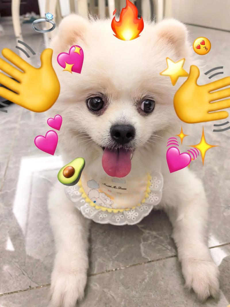 抖音双击秒秒到,你的新宠