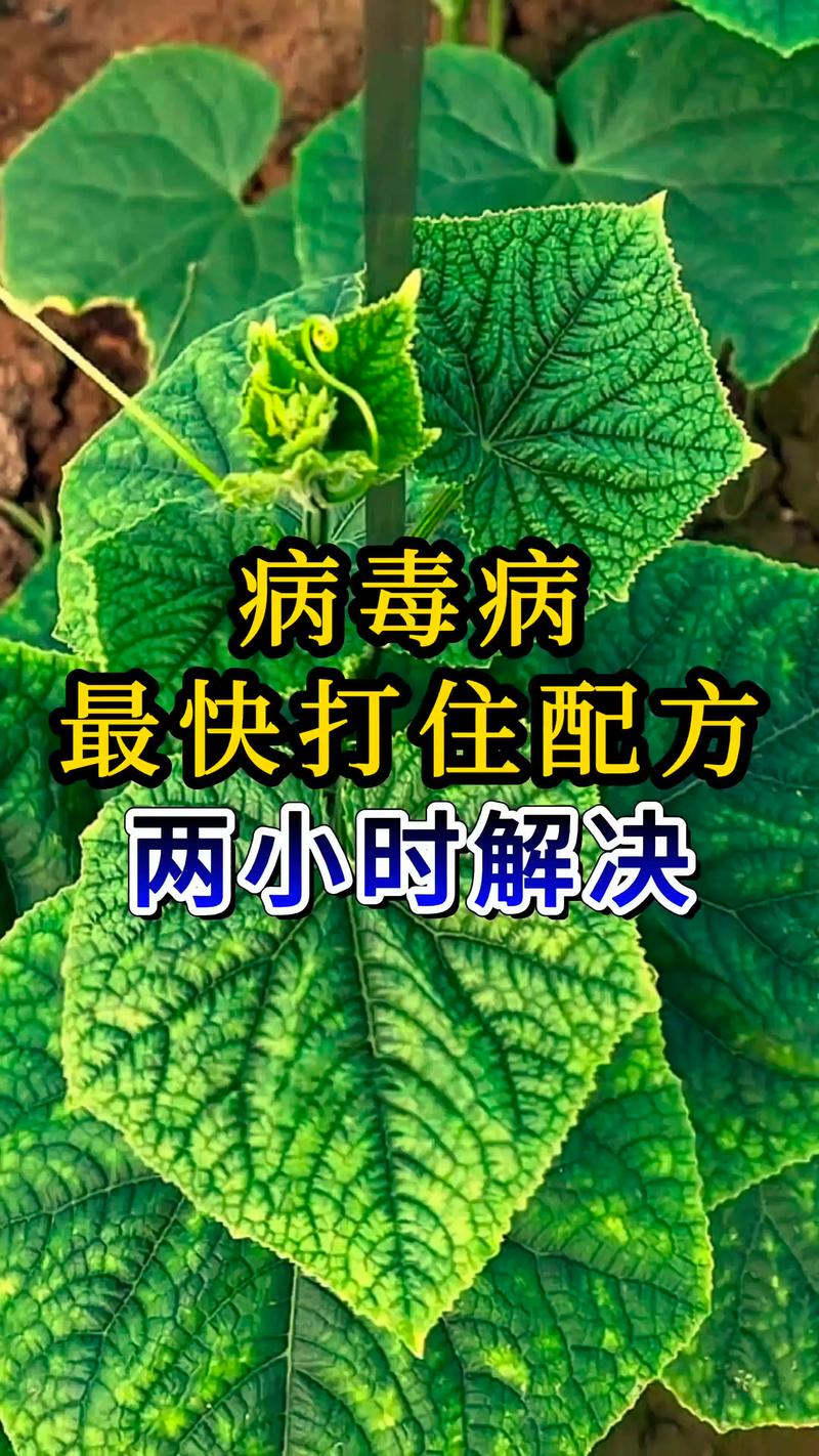 病毒肆虐古农农场！疫情防控最新动态来了！