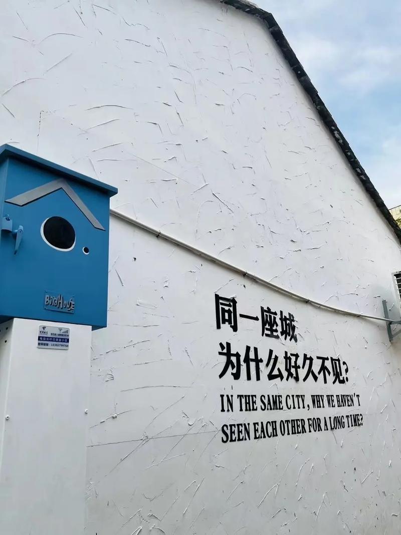 青春时代,抖音死粉代的生存之道