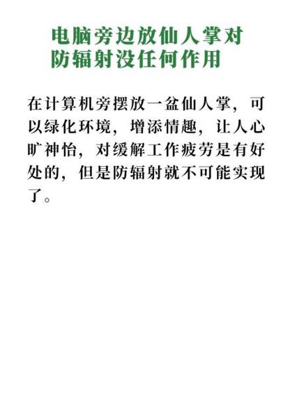 电脑旁放仙人掌，防辐射的小陷阱