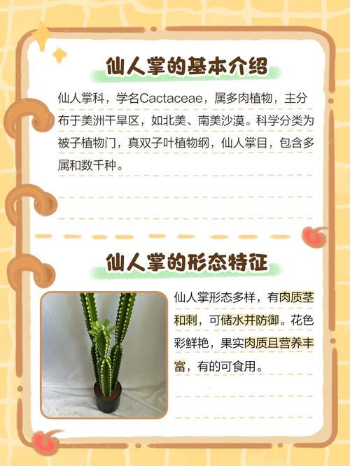 仙人掌如何应对电脑辐射?这些小妙招让你的仙人掌远离辐射威胁